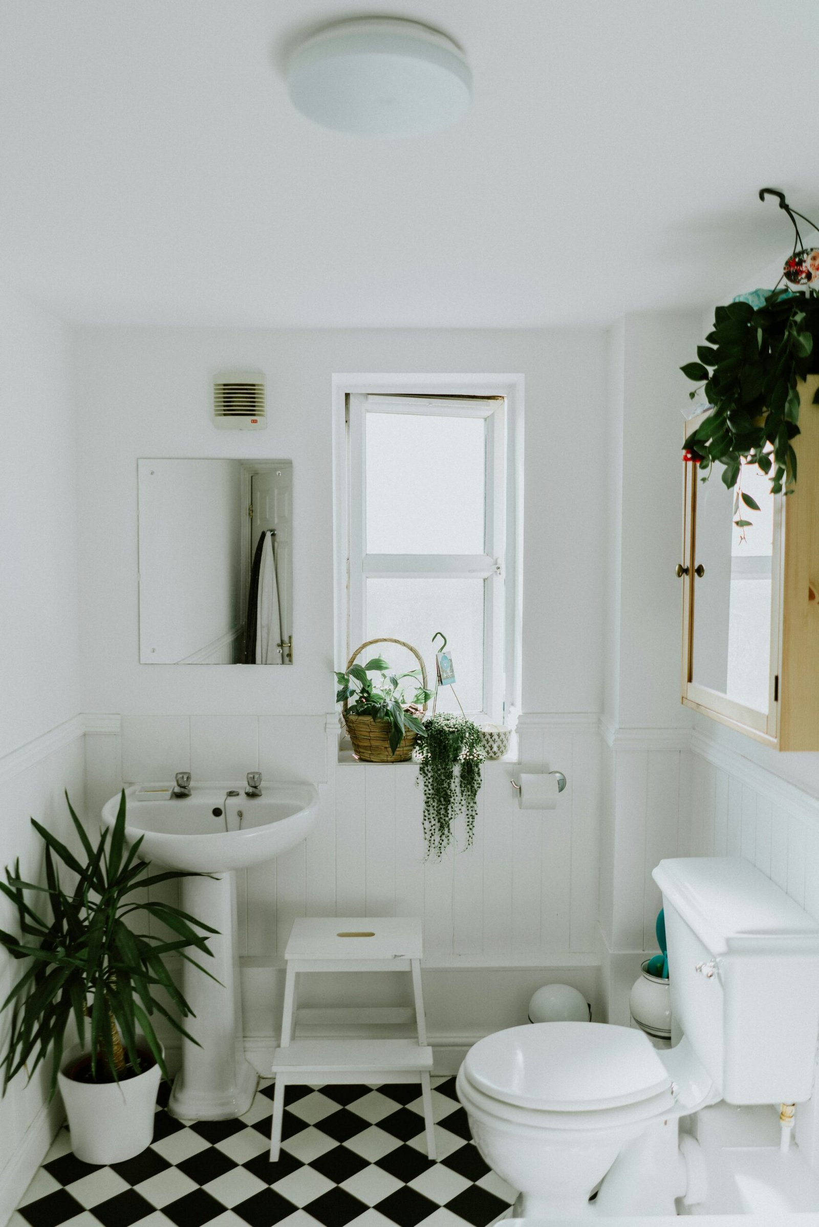 Lush green plants thriving in a modern bathroom with natural light