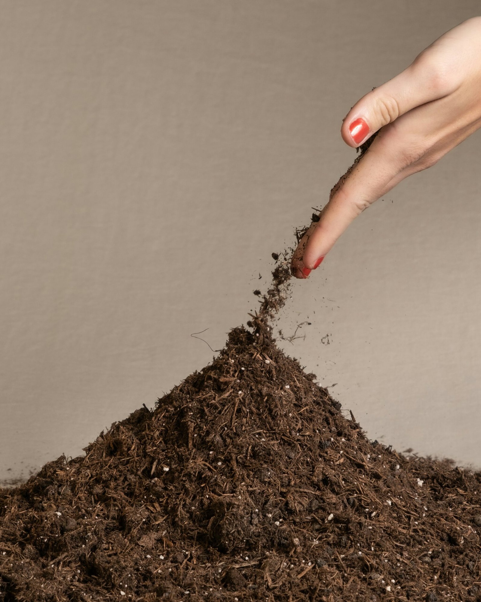 A hand checking the soil moisture of a small houseplant by sticking a finger into the dirt