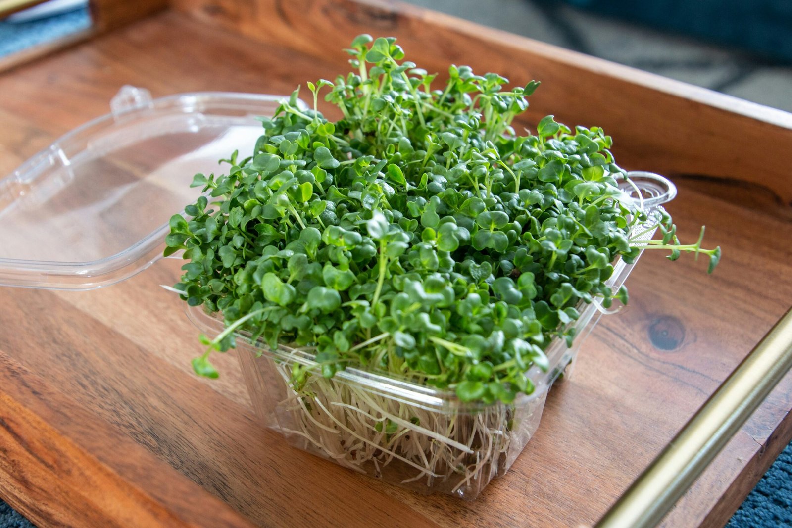Trays of colorful microgreens — pea shoots, radish, and sunflower — ready for harvest