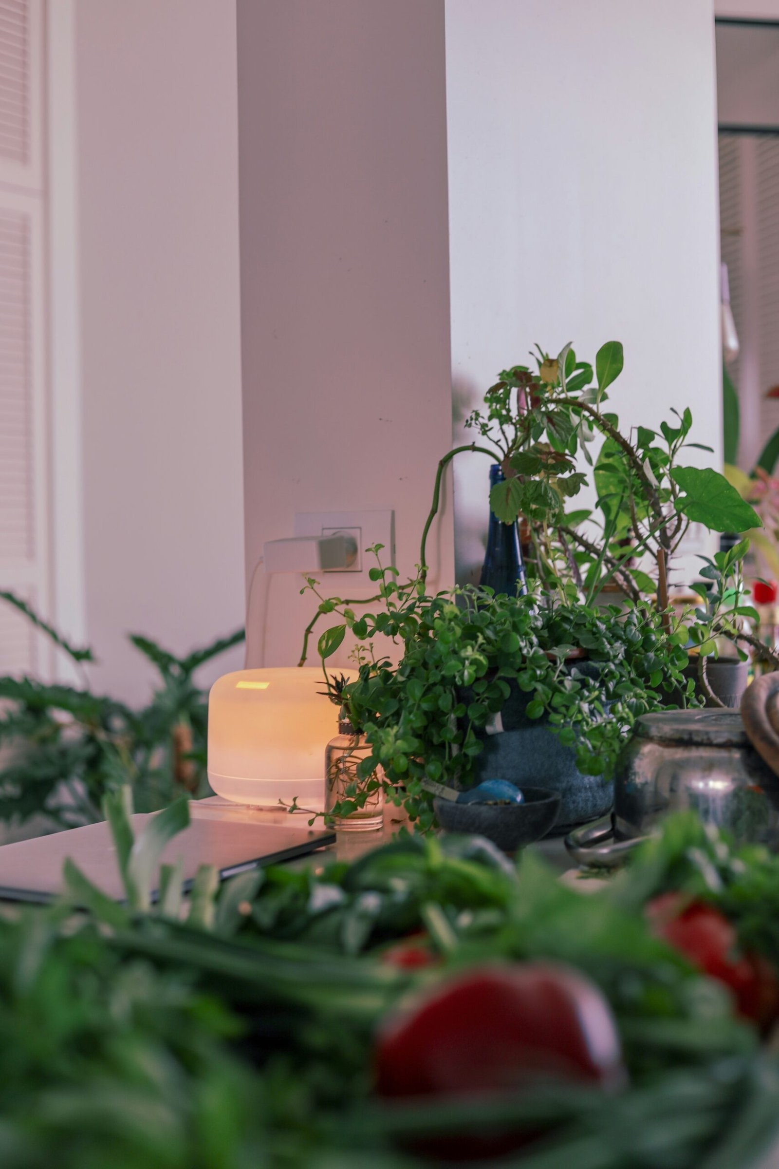 A Click & Grow Smart Garden 9 with mixed herbs growing on a sunlit kitchen counter