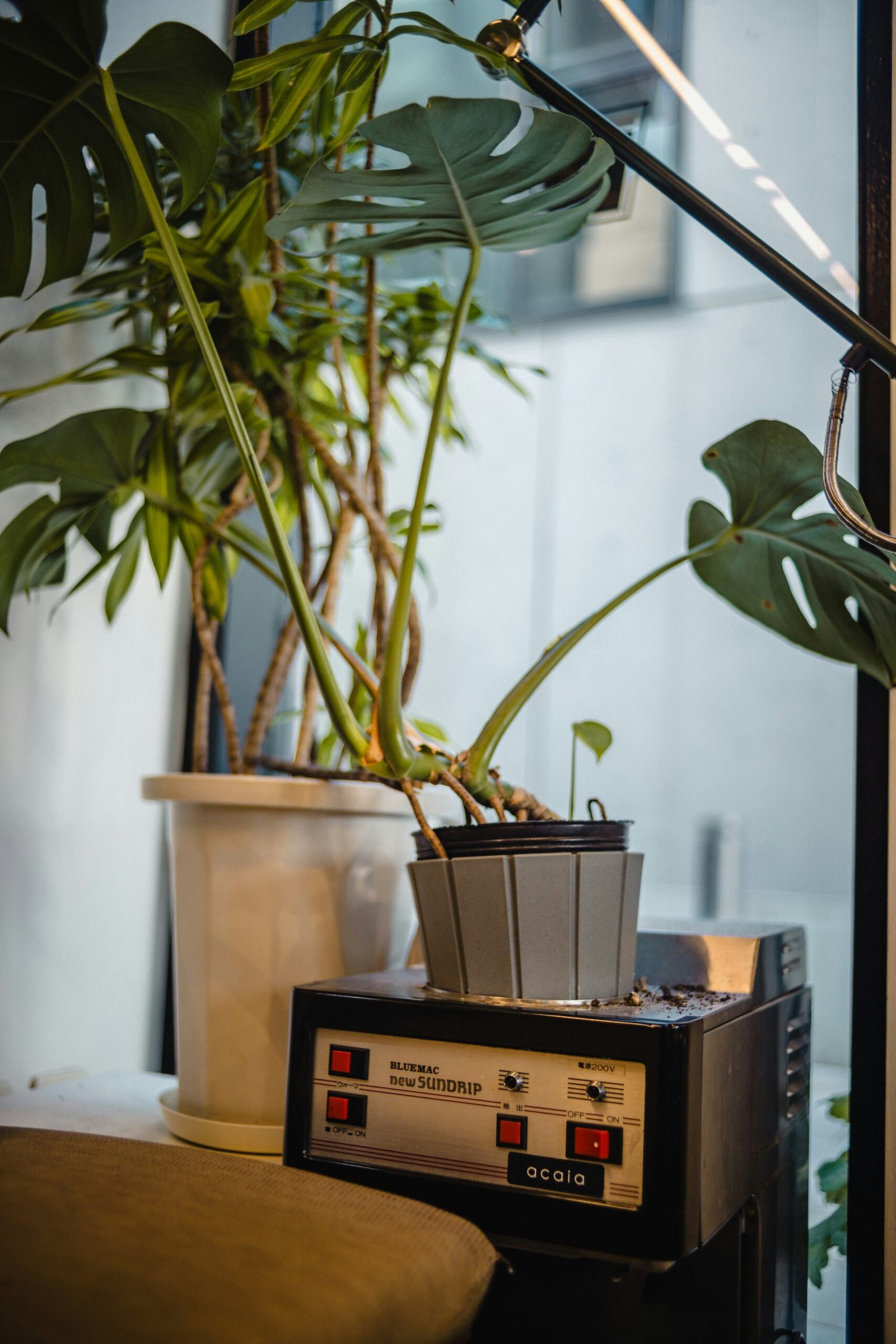 A simple soil moisture meter inserted in plant soil