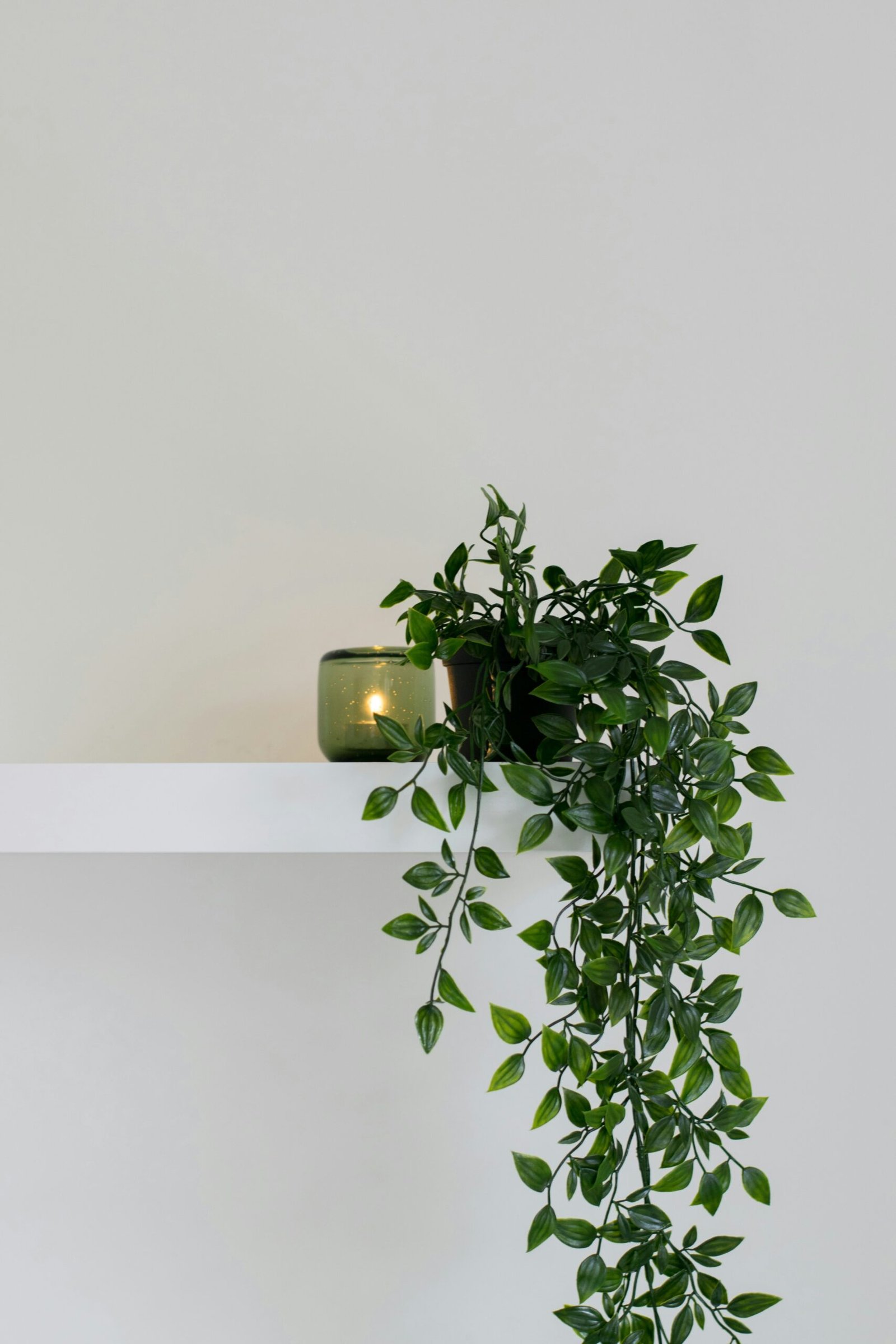 Trailing pothos and hanging plants in a small apartment using vertical space