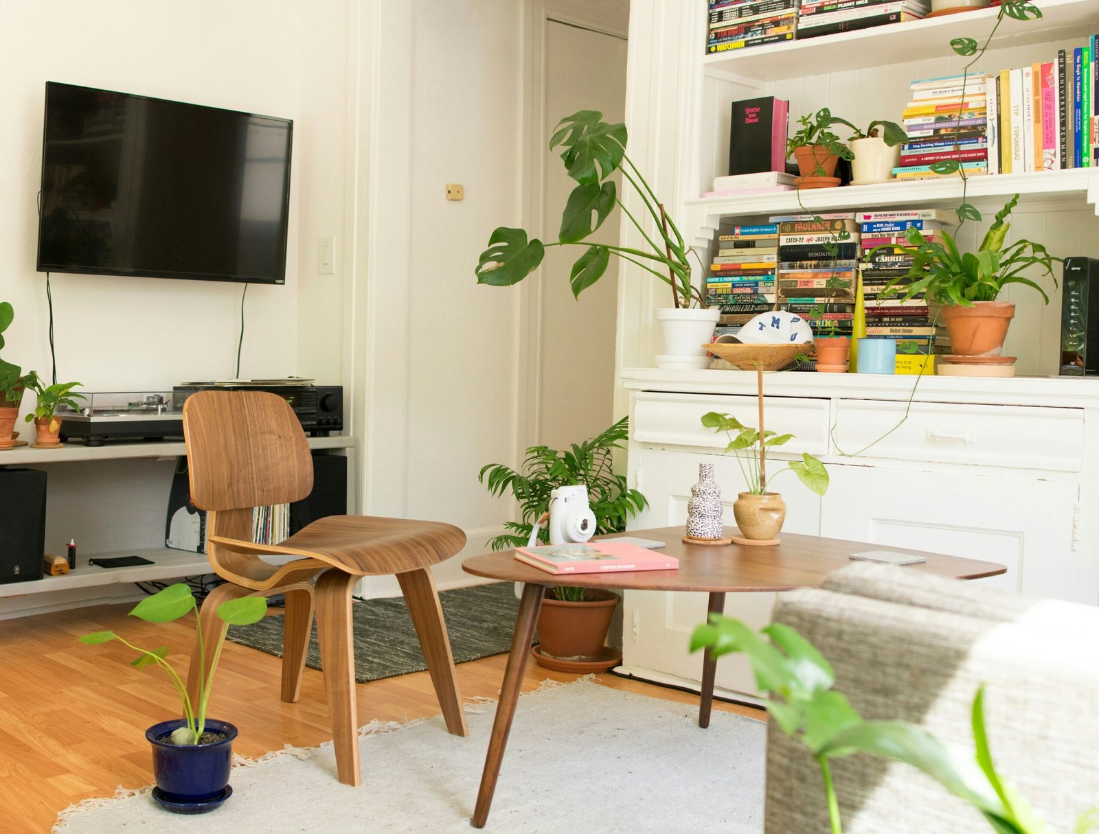 Modern apartment kitchen with vertical herb garden against a wall