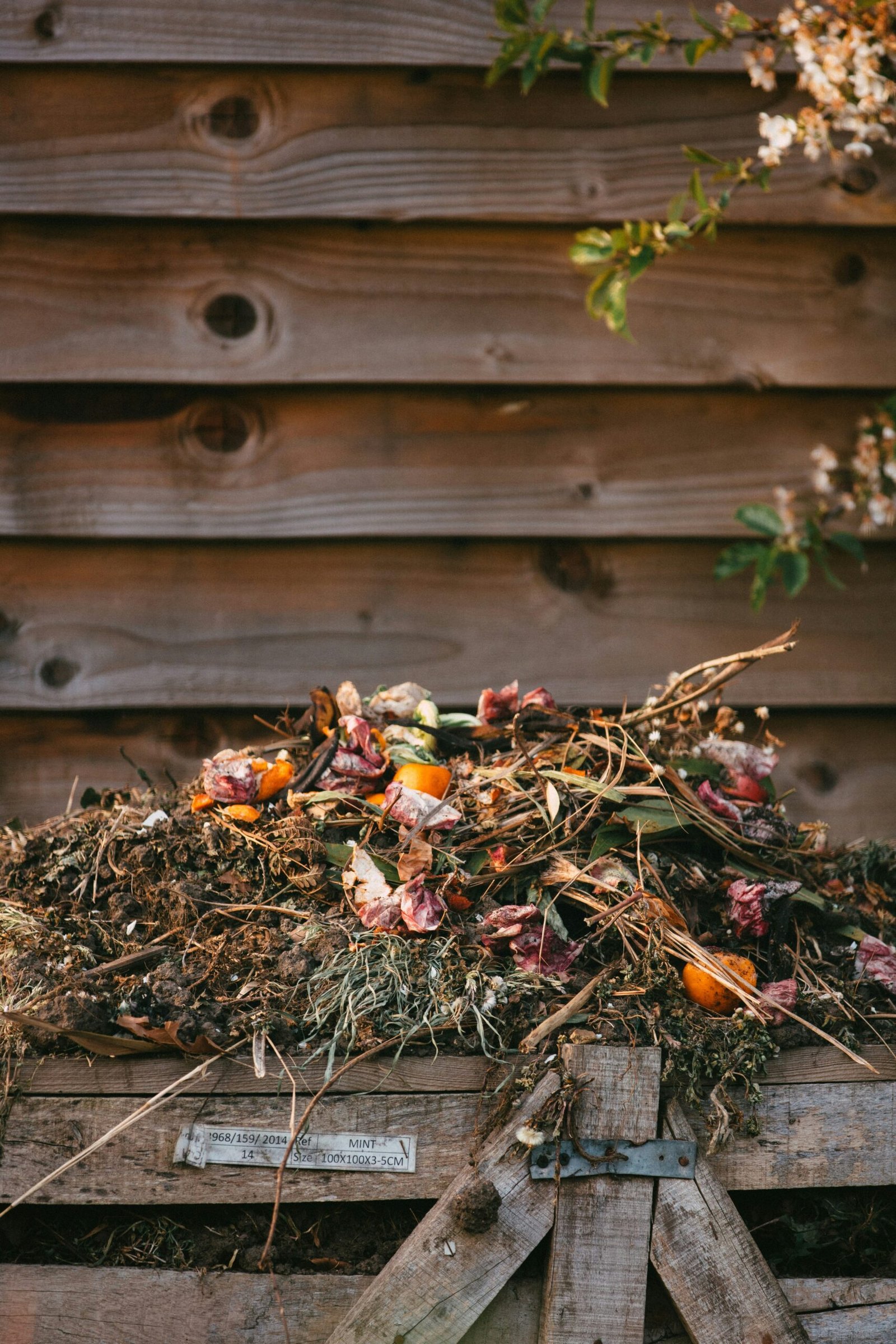 Hand dropping vegetable scraps into a compost tube surrounded by plants