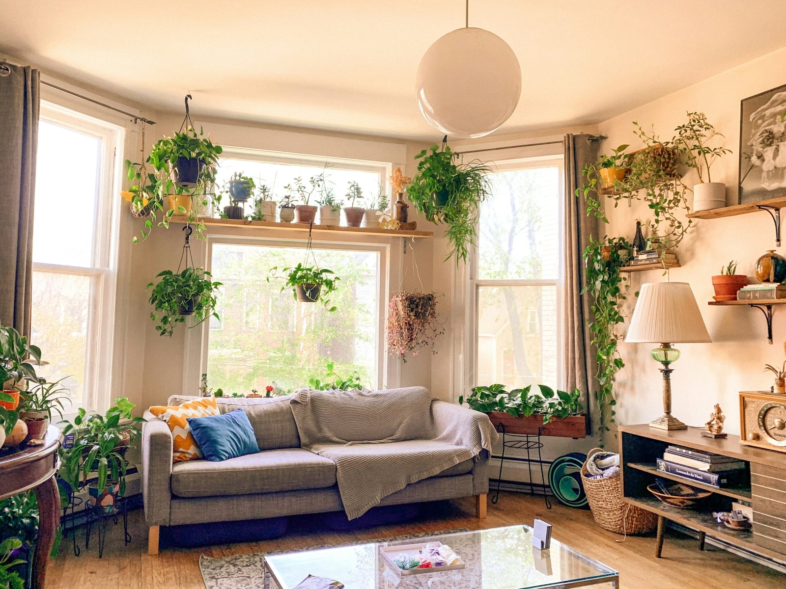 A cozy plant corner in a small apartment with a wooden plant stand, layered houseplants, and warm natural light