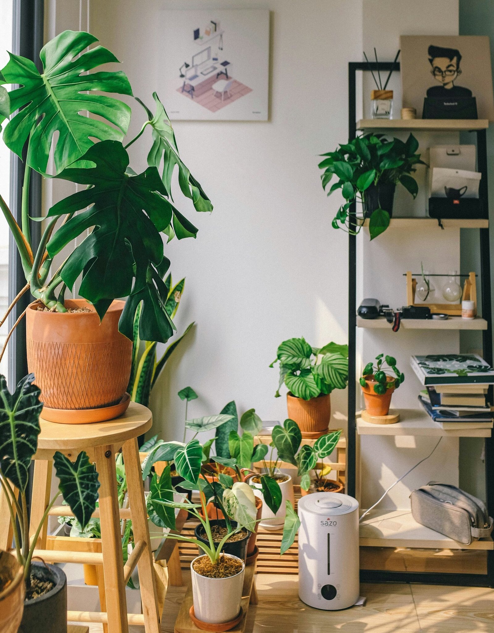 A small humidifier running beside a group of leafy houseplants in winter