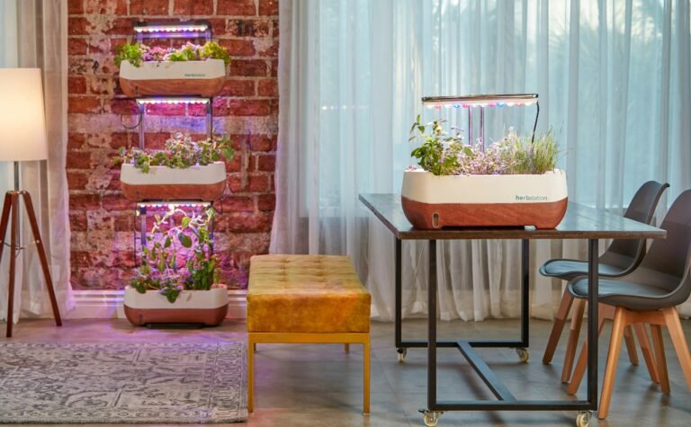 A living wall of herbs and trailing plants on a vertical garden frame in a small apartment