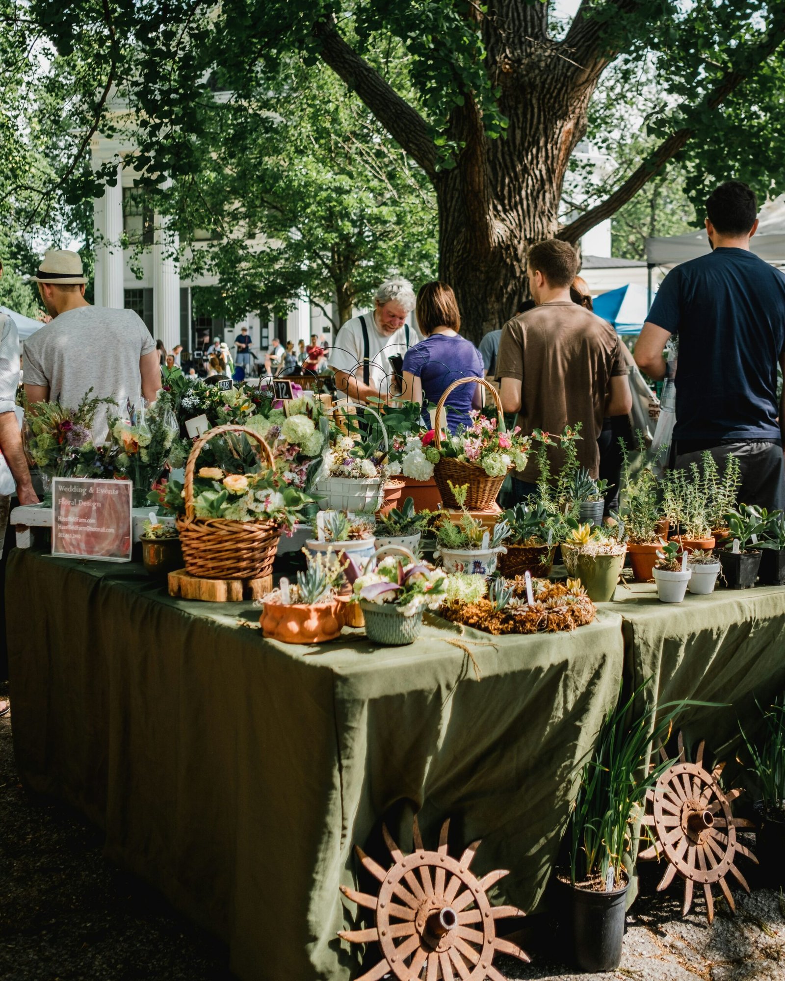 Microgreens booth at a farmers market in morning light