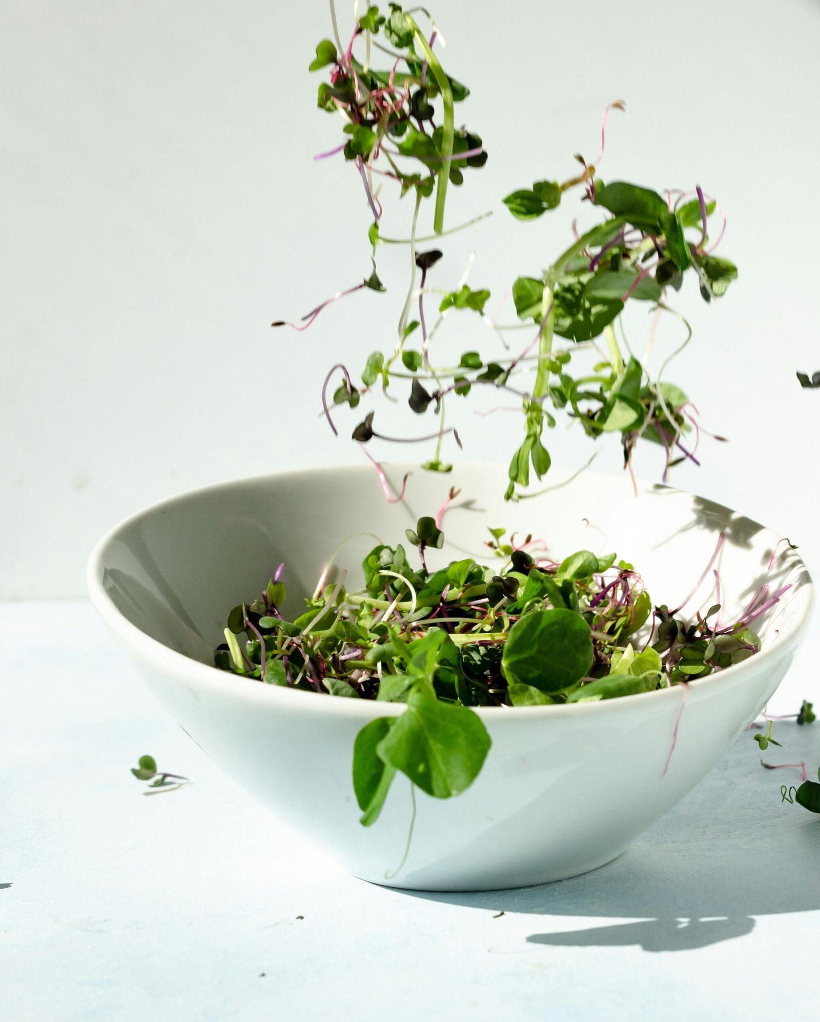A tray of harvested microgreens next to cash and a calculator on a kitchen table