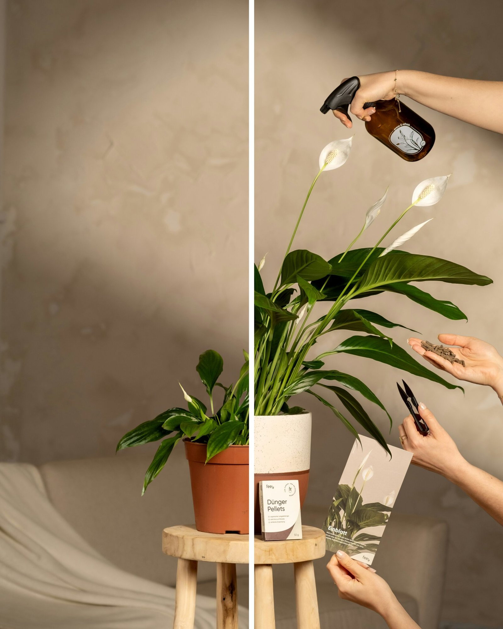 Spray bottle misting the leaves of an indoor plant