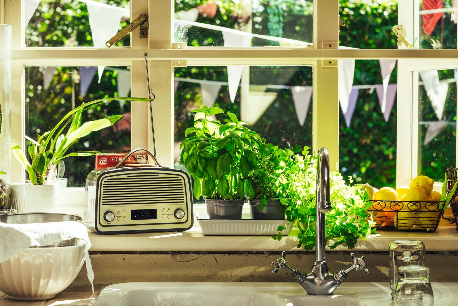 A Click and Grow style smart garden with fresh herbs growing under a small LED light on a kitchen counter