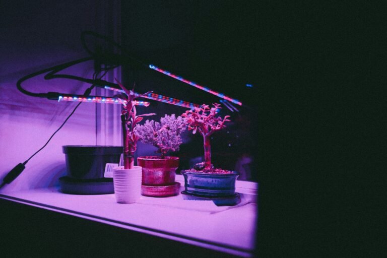 A grow light mounted above a row of indoor plants at a measured distance