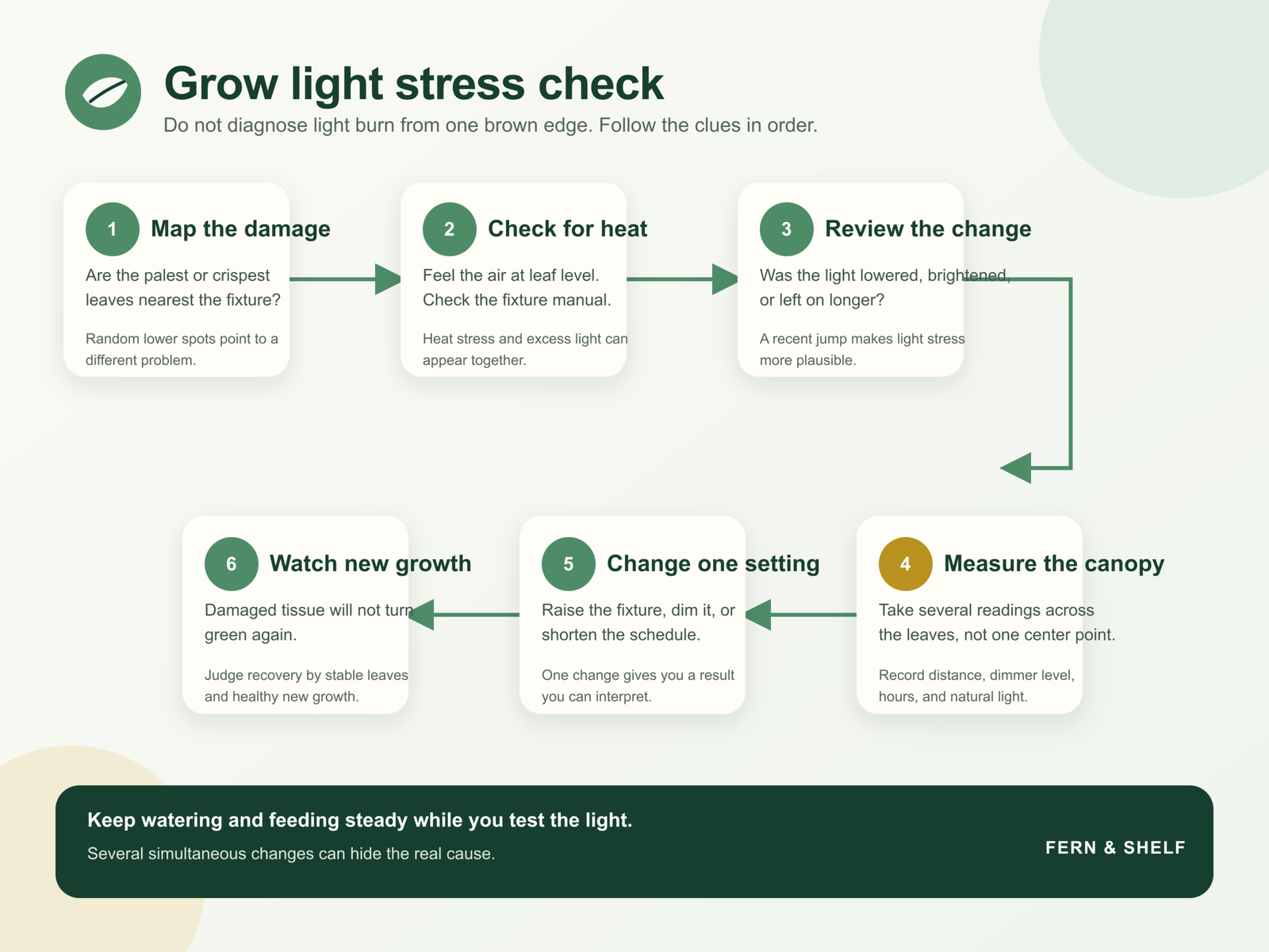 Grow light stress check from damage pattern to new growth