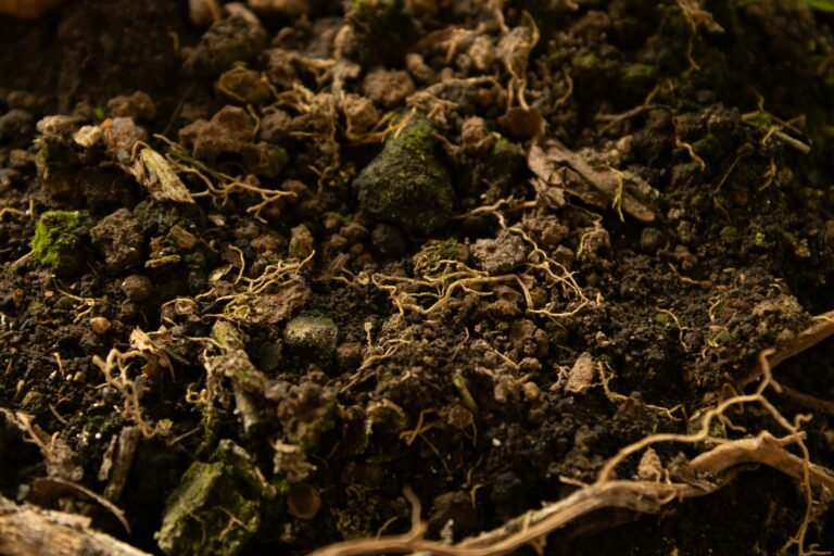 A gardener emptying a pot of old potting soil into a tub to refresh and reuse it