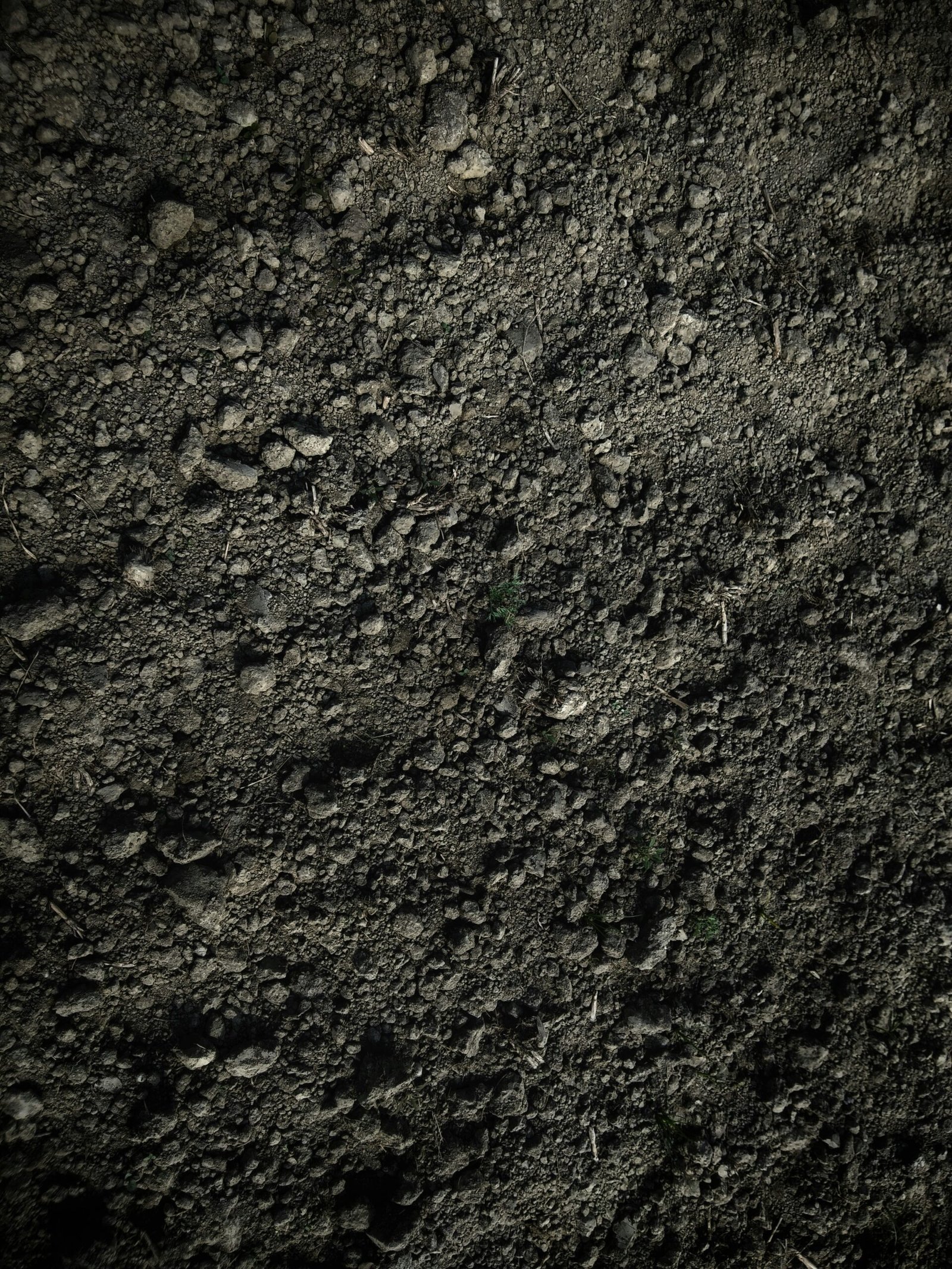 Close-up comparing compacted cracked garden soil with airy potting mix full of perlite