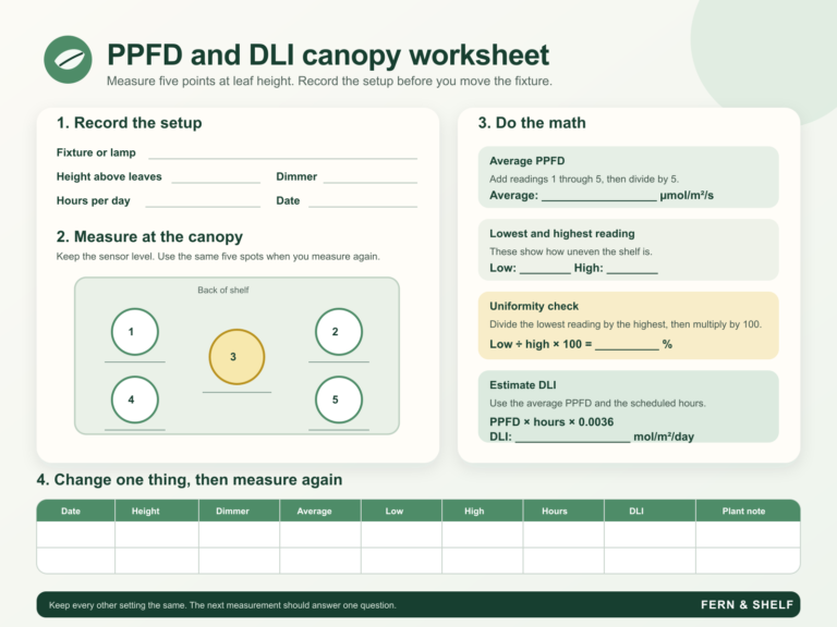 PPFD DLI calculator worksheet with five canopy light measurements